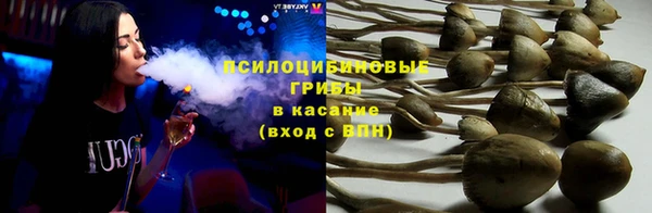 эйфоретик Алексеевка