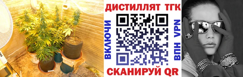 Дистиллят ТГК гашишное масло Карачев