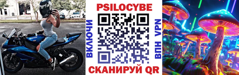Галлюциногенные грибы мицелий  MEGA зеркало  Карачев 